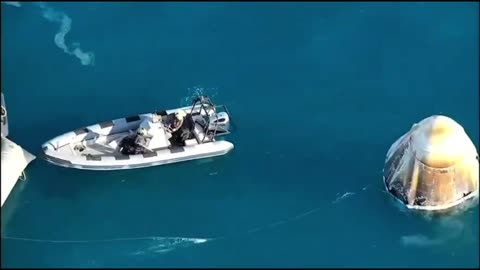 NASA's SpaceX Crew-9 mission A pod of Dolphins stopped by to say welcome home