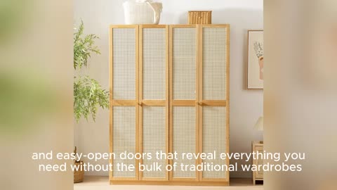 Affordable Wardrobe Organizer