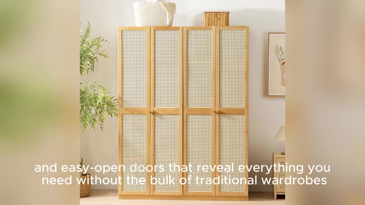 Affordable Wardrobe Organizer