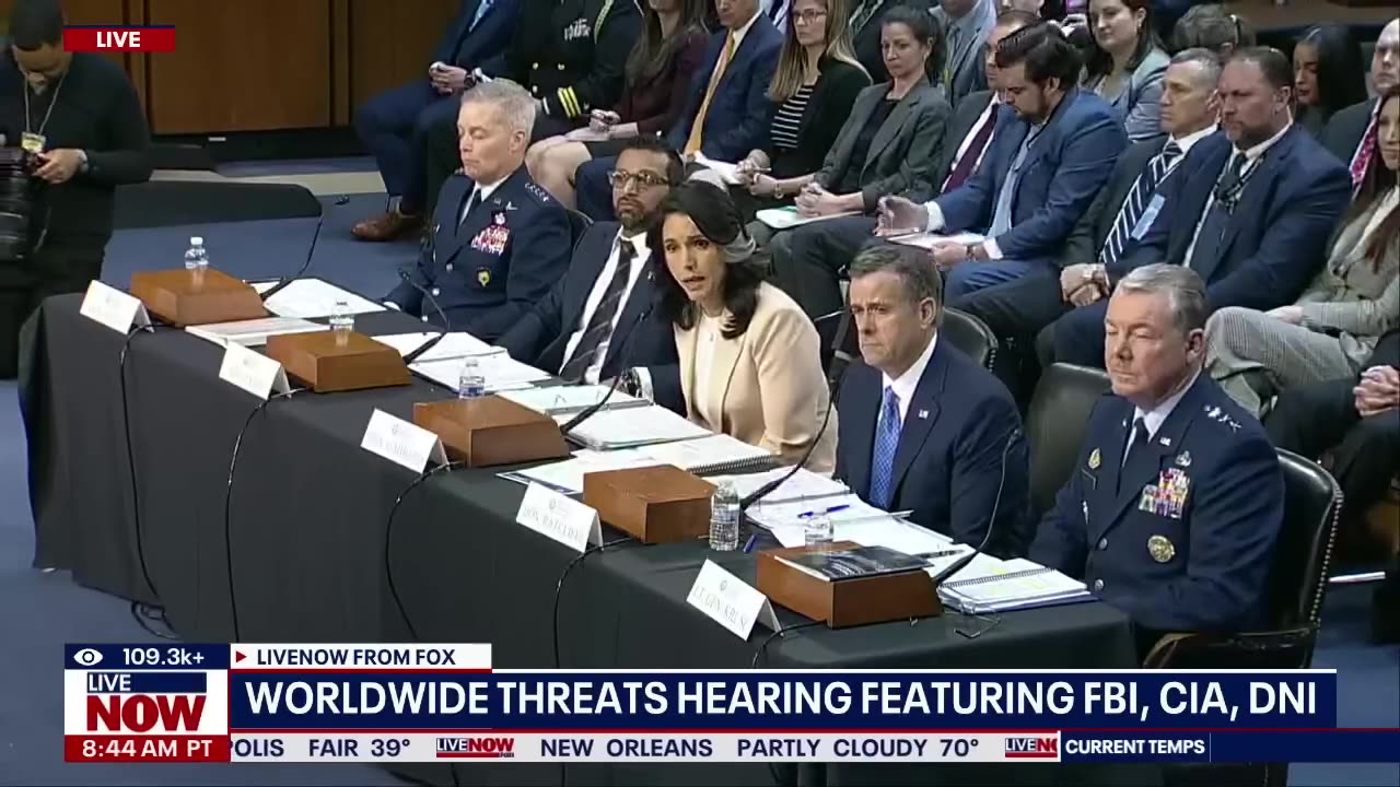 Signal chat update: Gabbard, Ratcliffe respond to Sen. Kelly's questions