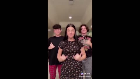 Charlie D'Amelio most liked and best of tik toks (2020)