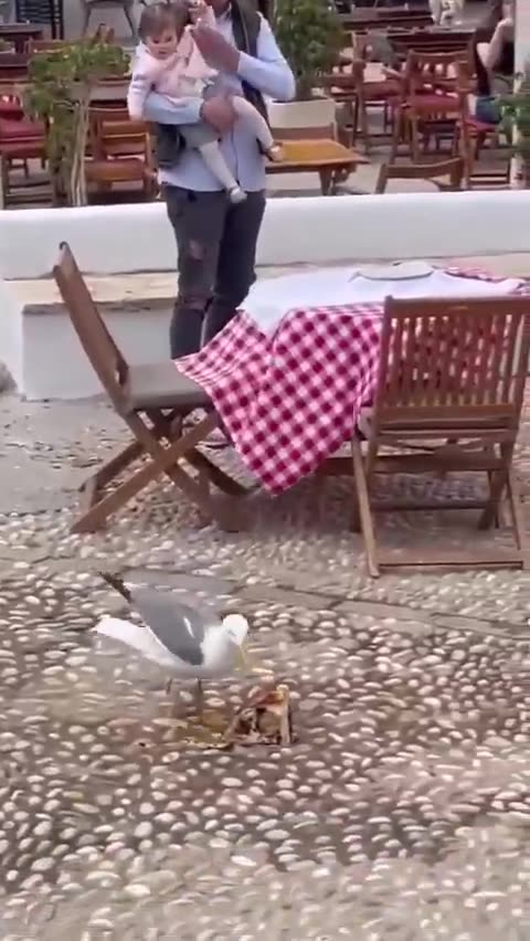 Uninvited and rude guests 😂