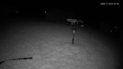 Bird Feeder in Western Maryland USA