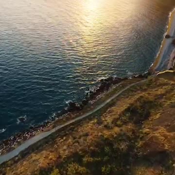 The most Beautiful tree in madeira?