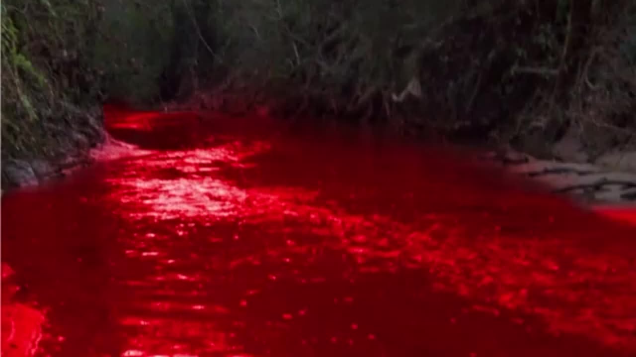 THE TRUTH ABOUT CLIMATE CHANGE - Truthunedited (Dutch/NL Subs)