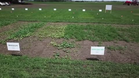 Ask A Nufarmer - Herbicide Layering