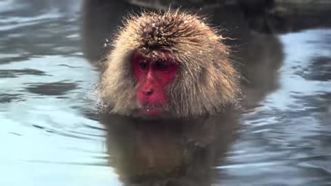 Ocean Mist Chillhouse Session