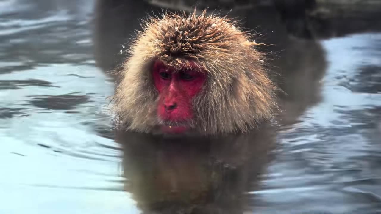 Ocean Mist Chillhouse Session