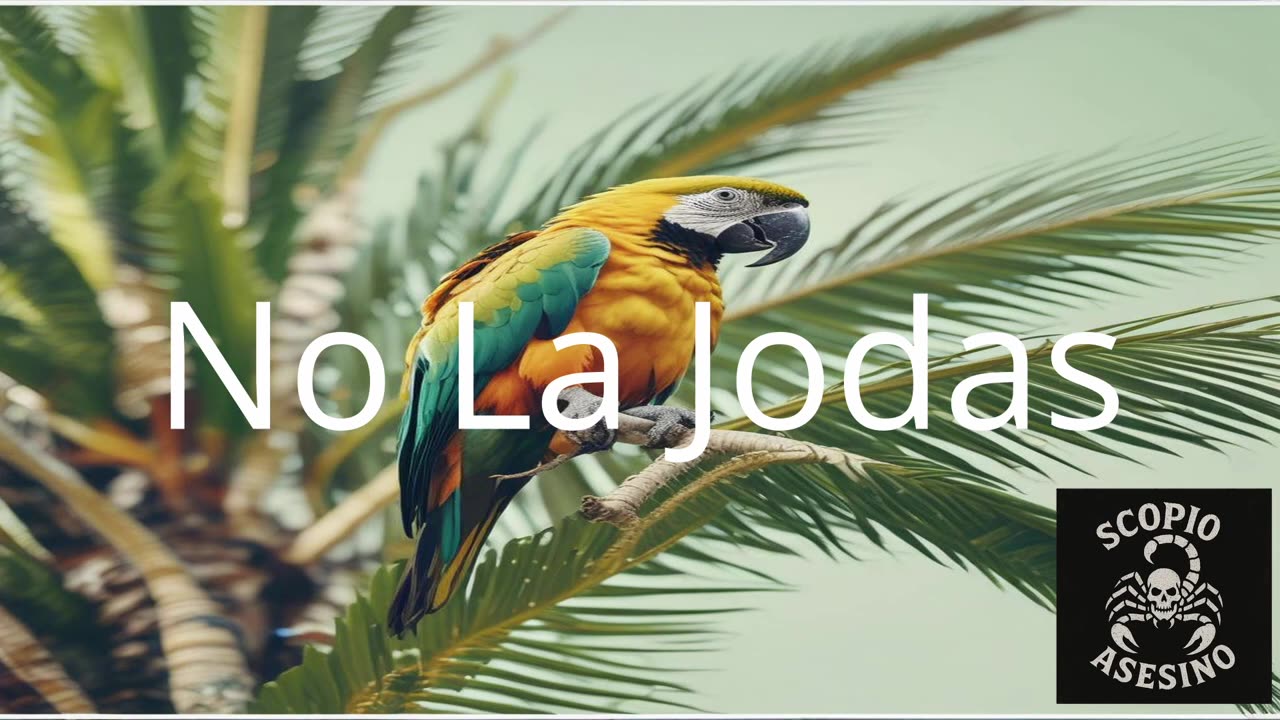 No La Jodas