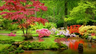 Pulse of Dawn – where rhythm greets the sun.