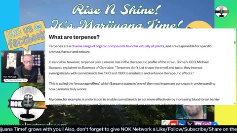 Rise ‘N Shine! It's Marijuana Time! Wake ‘N Bake Show - Ep 196 May 21, 2025
