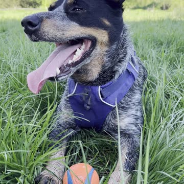 Yuma catches his breath 329843209482