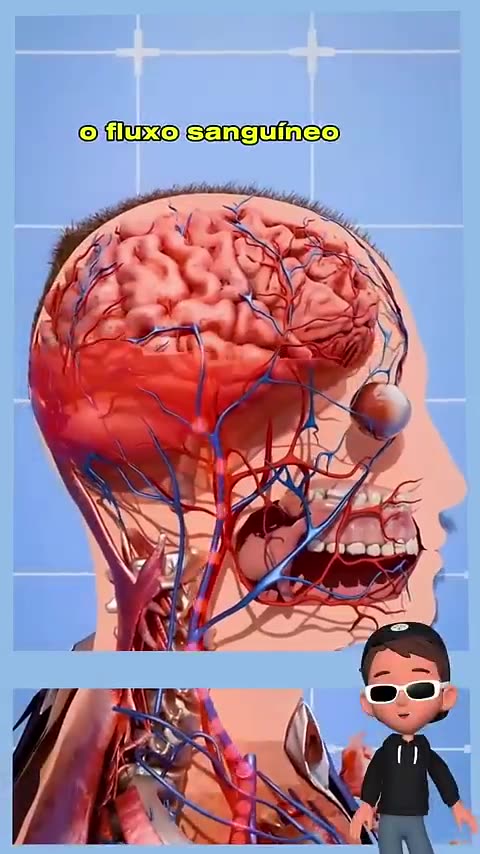 _casamento _corpo _fisiologia _biologia _ciencia _vocesabia _curiosidades