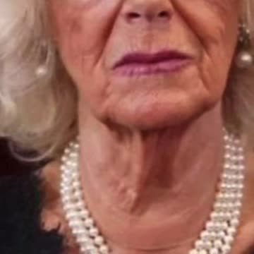 Camilla - Central Casting?