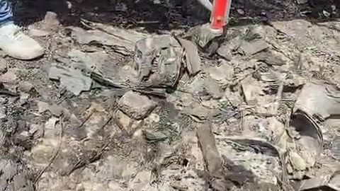 Air india AI171 PLANE CRASH IN AHMEDABAD