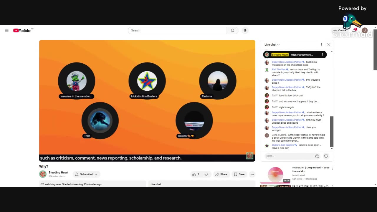 'Bleeding Heart' youtube channel.. Hypocrisy and fantasy every time.... 25-3-25