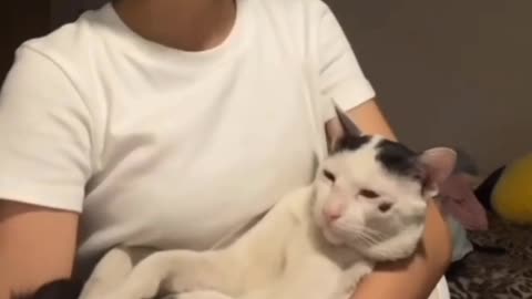 😂😳 Ouch meh bewb: You Won't Believe What Happens Next! | FunFM