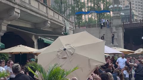 Rogue Umbrella