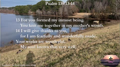 Psalm 139:13-14