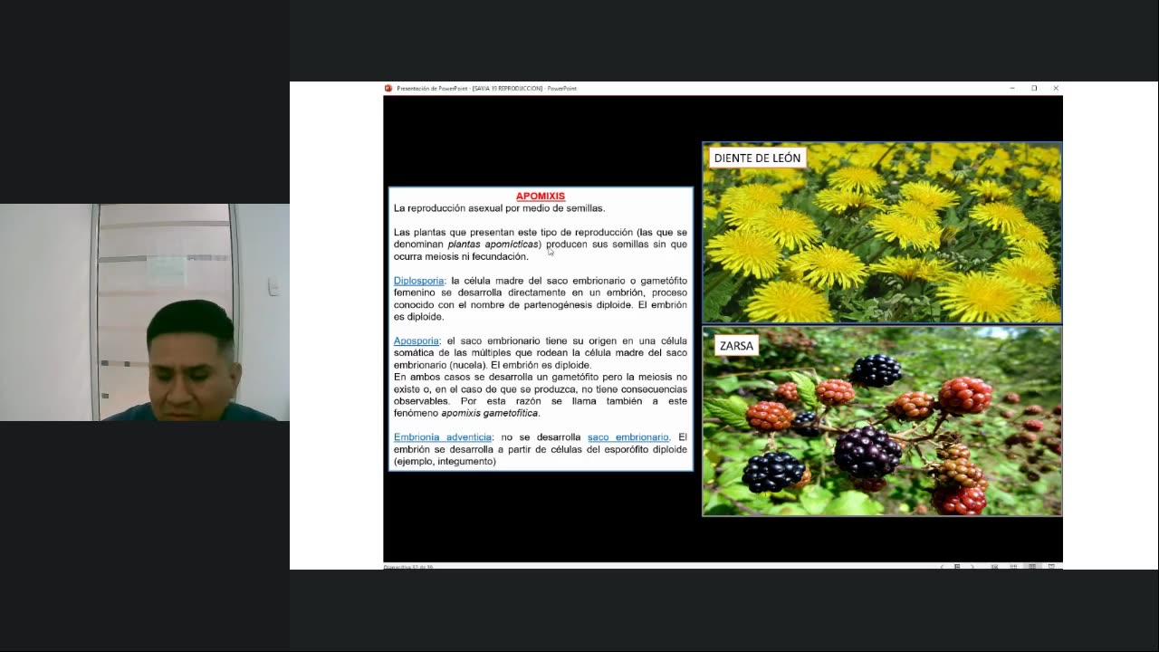 SAVIA SEMIANUAL 2024 | Semana 19 | Anatomía