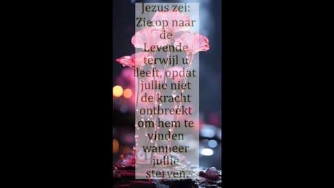 Zie op naar de levenden