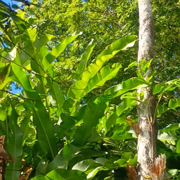 12.8.2025 More Butterflies