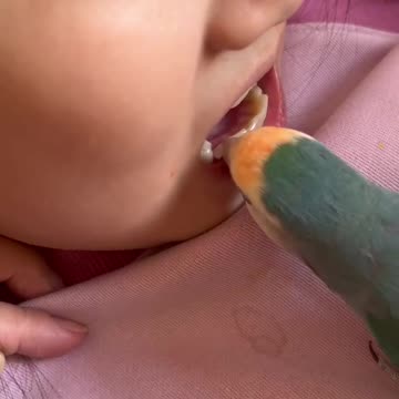 TheGoldStandardOfToothExtraction