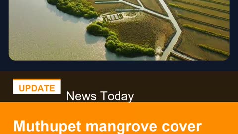 Muthupet mangrove cover increases by 2,057 hectares in the last three years