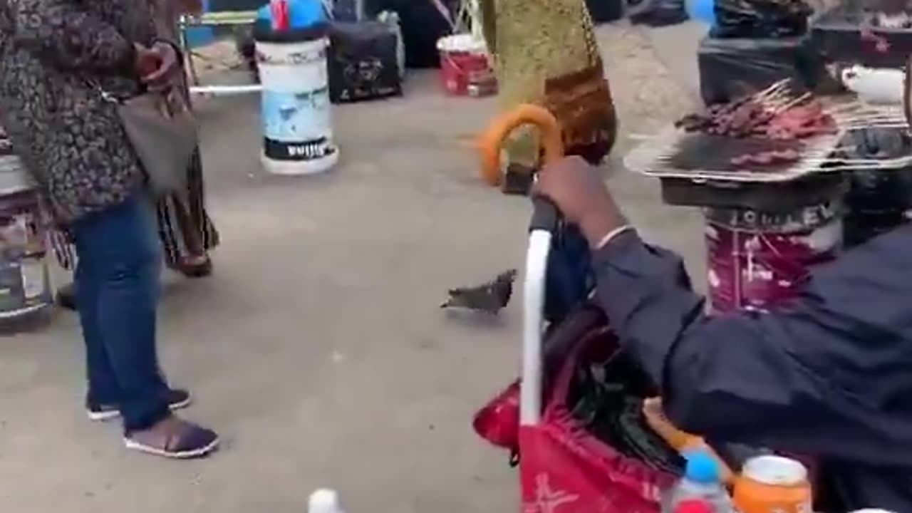 Macron has turned France into Africa. This is disgusting 😡