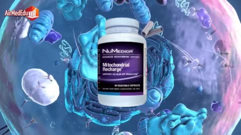 35 Health Benefits of Mitochondria