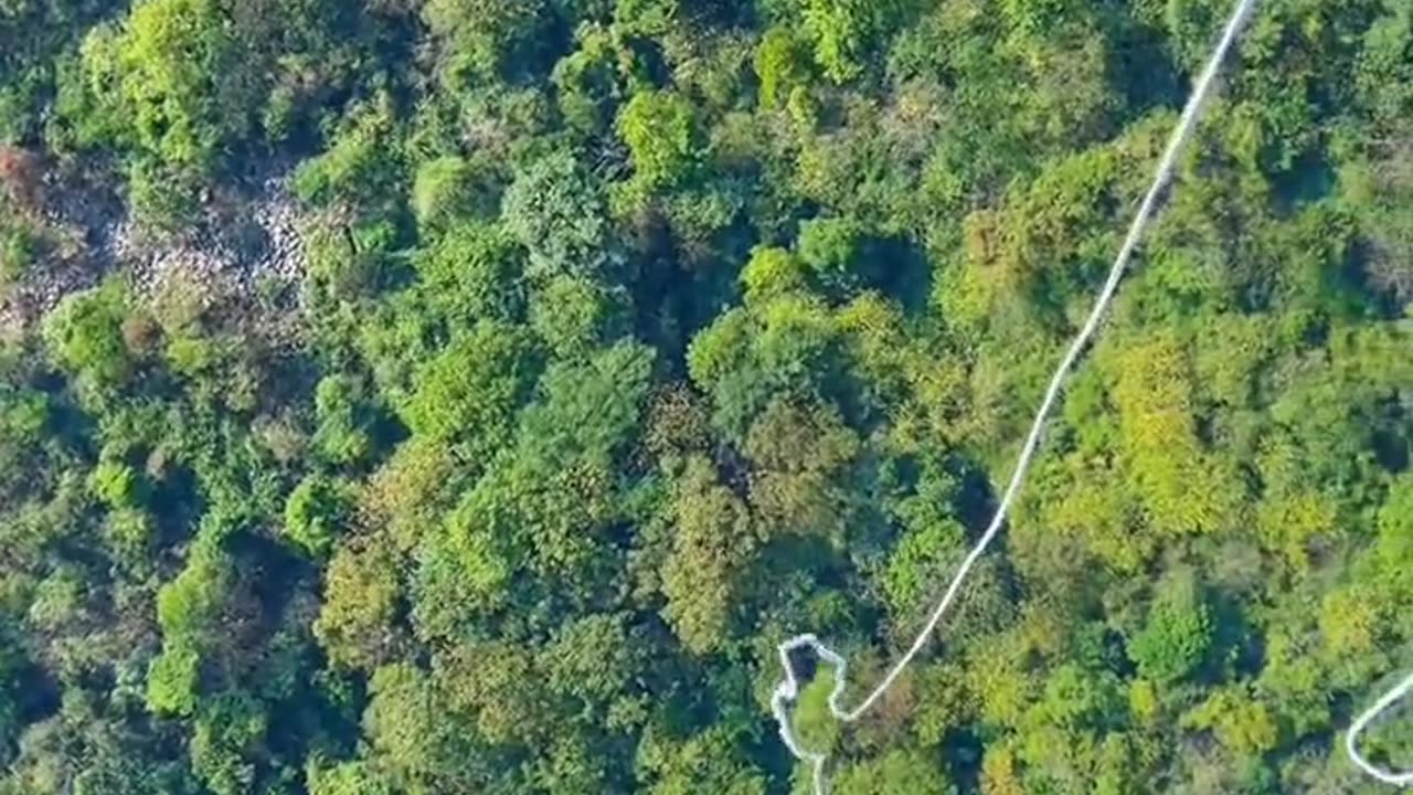Real Adventure