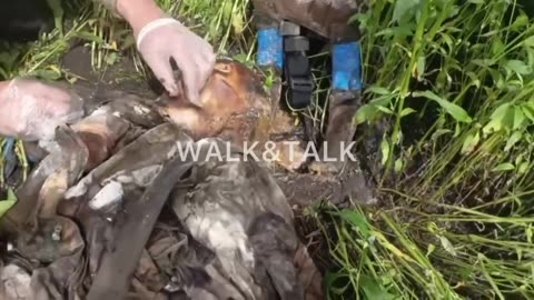 Ukraine war combat Footage june 23 2025