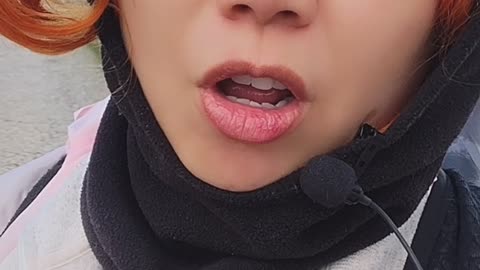 313 Omni Portugal Diaries