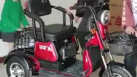 Comfortable Bike For The Whole Family