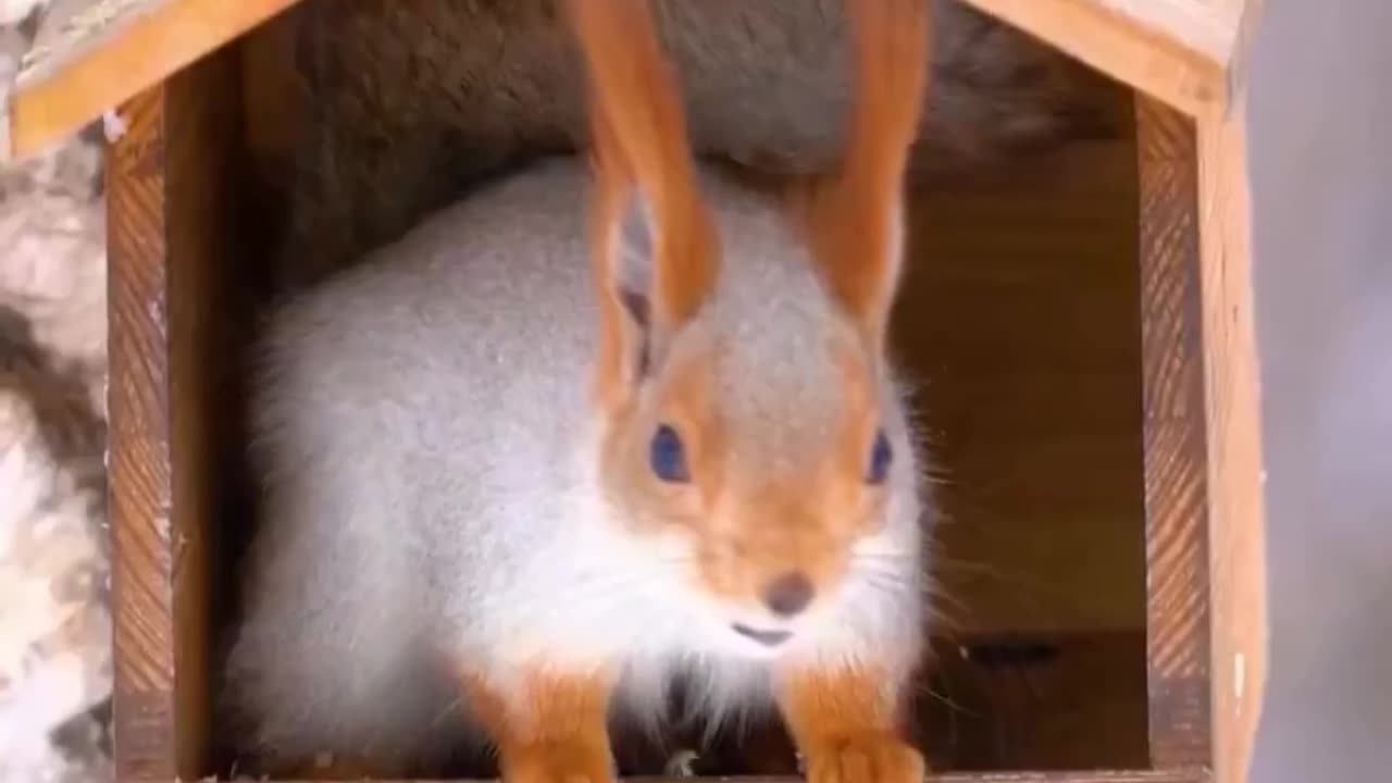 😊