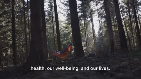 The Ultimate Sleep Hack for Holistic Wellness in 2024
