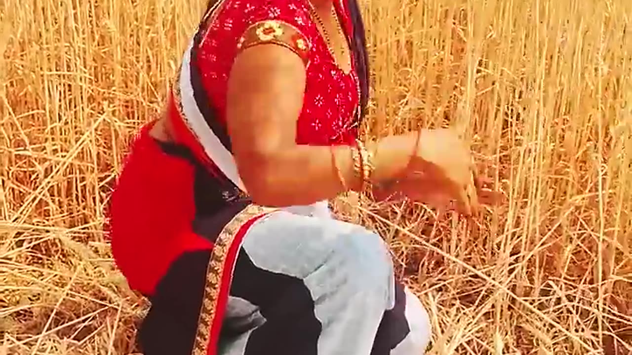 Game Kalai kamjor