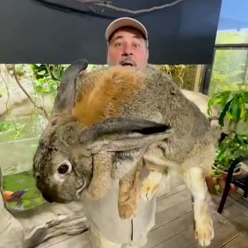 Nature's Beautiful Animal Evolution #animaljourney #animaltransformation #beautifulnature