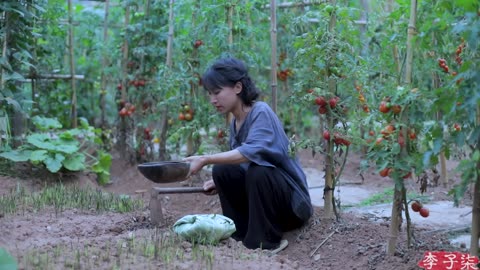 Making Use of Every Part of the Lotus: Flowers,Leaves,and Roots