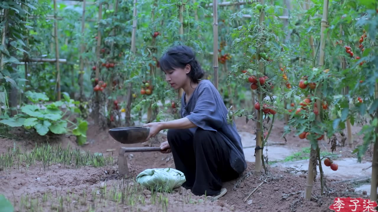 Making Use of Every Part of the Lotus: Flowers,Leaves,and Roots
