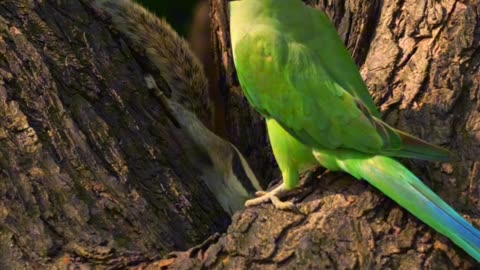 Where the wilderness whispers, listen✨😌 #yamunaghat #delhi #nature #naturelovers