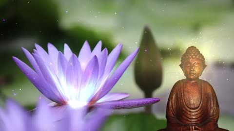 RELAXING MEDITATION BUDHA