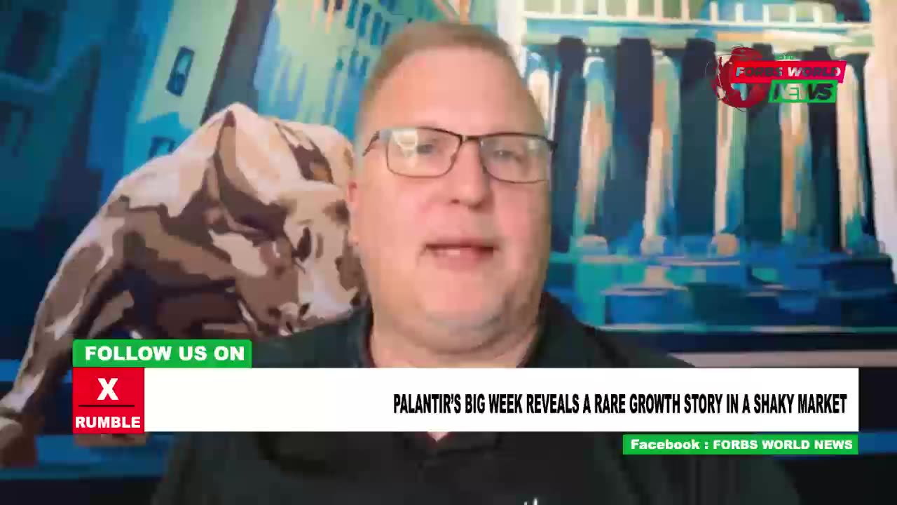 iIs Palantir surviving the market rumblings?