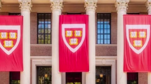 Harvard’s Billion-Dollar Crisis: World’s Symbol of Prestige Starts to Crack | Toronto Talks Clips