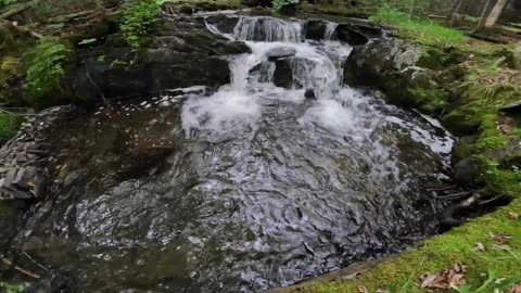 Cascade Pool