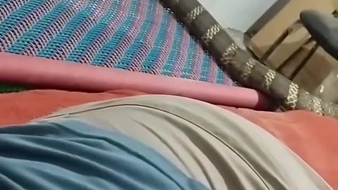 Snake came to bedroom🤯🥶😱