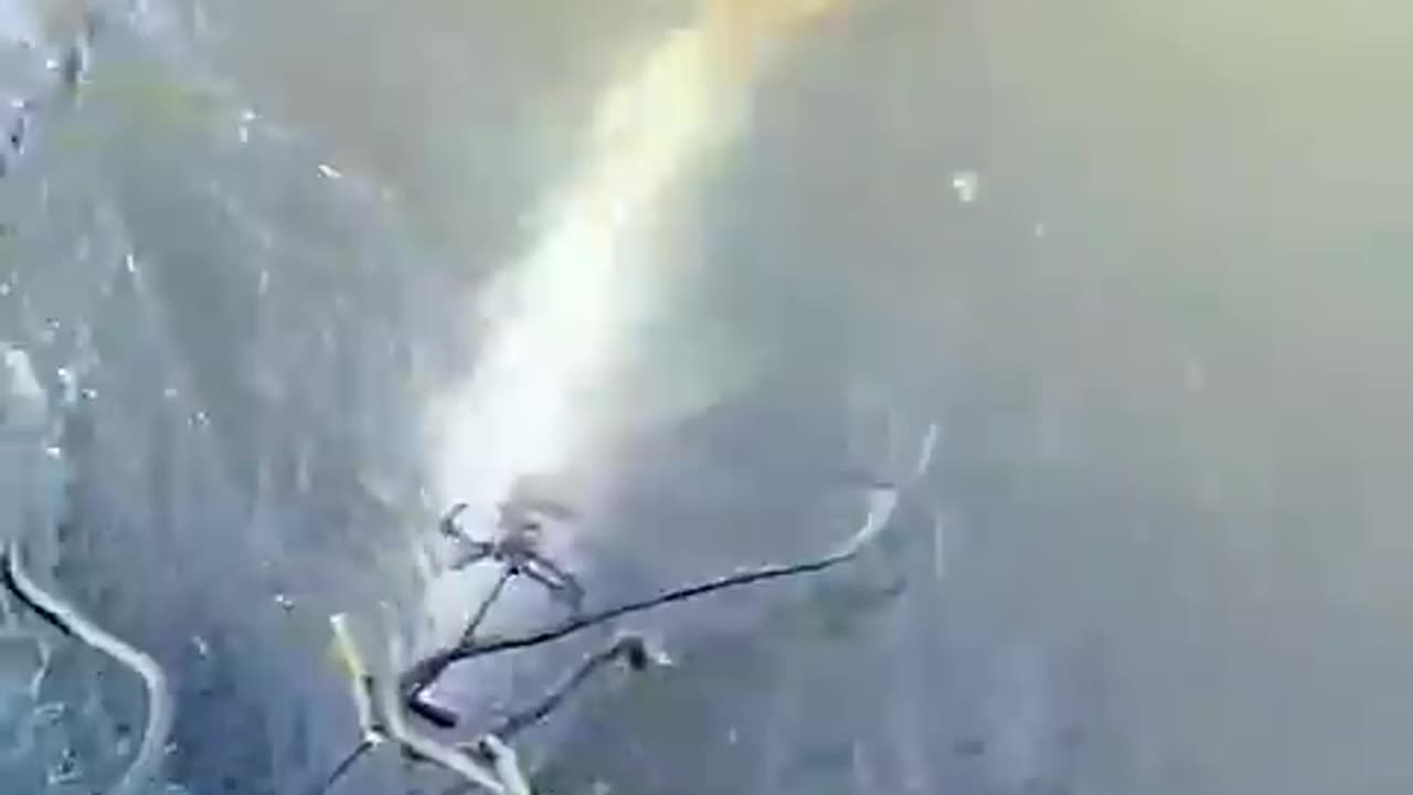 Amazing Chinese Fishing Technique! 🎣