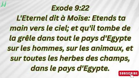 « Les plaies s’abattent sur l’Égypte » exode 9:1-35 #shorts #youtube #ytshorts #jesus #views #french