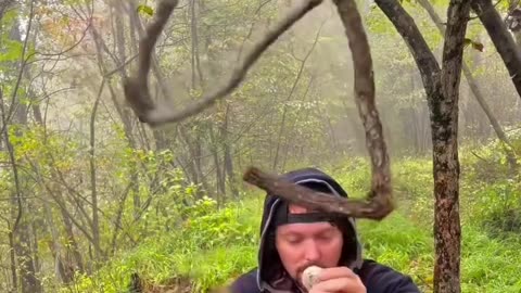 If you are watching this video, know that God has made you the guardian angel of a hungry cat💝