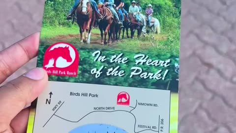 ⭕️Explore Horse Riding at Birds Hill Park Ranch! 🐎 | Winnipeg, MB